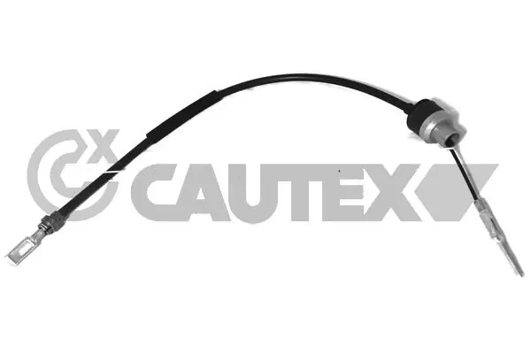 033806 Cautex