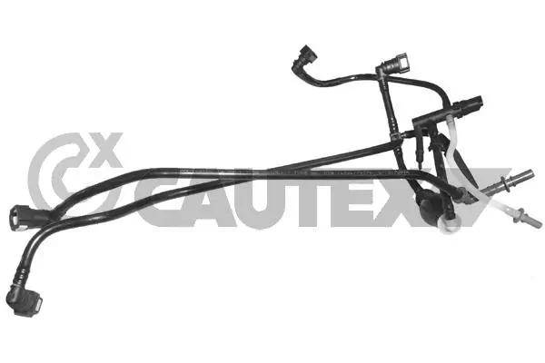 031702 Cautex