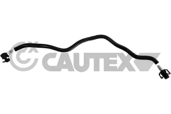 771309 Cautex