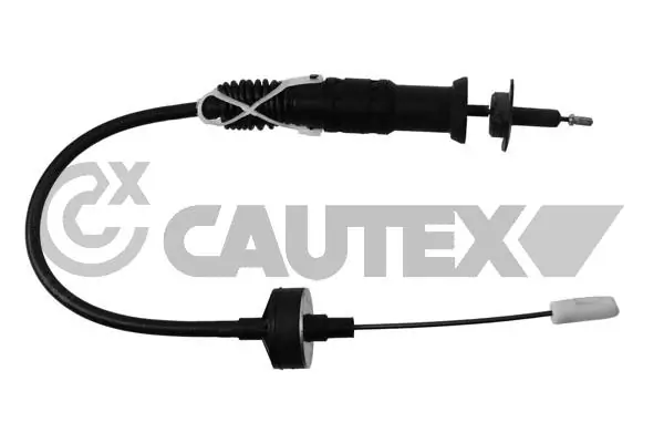 461237 Cautex