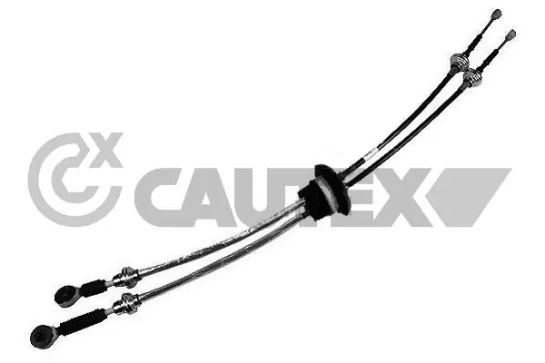 766481 Cautex