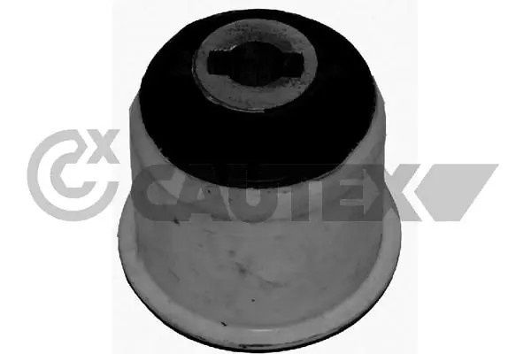 silentblock del eje trasero Citroen C4  (LC)