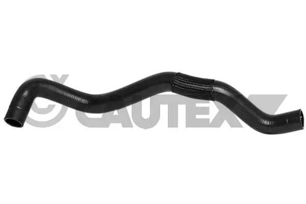 754285 Cautex