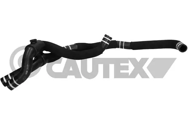 752749 Cautex