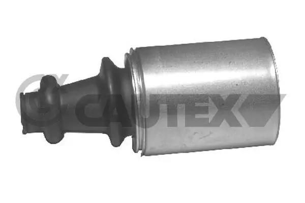 030207 Cautex
