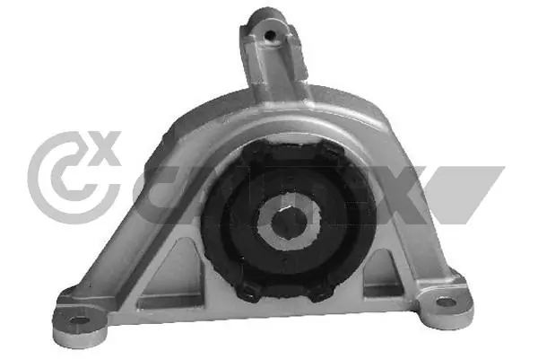 011058 Cautex