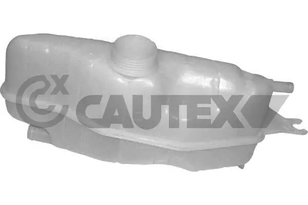 061008 Cautex