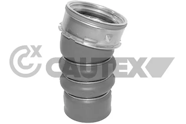 754469 Cautex