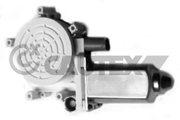 207079 Cautex