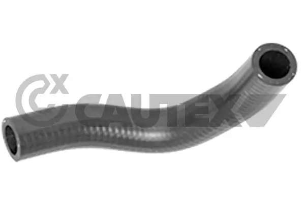 752837 Cautex