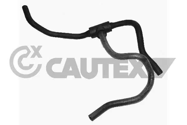 752891 Cautex