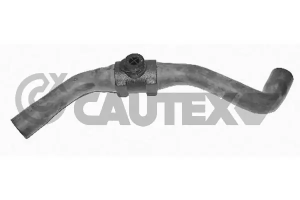 753501 Cautex