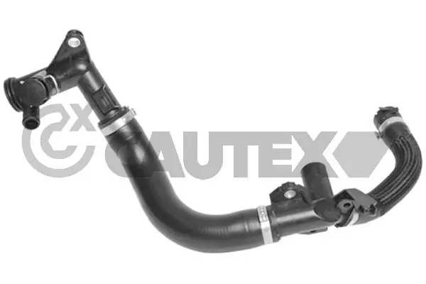 769696 Cautex