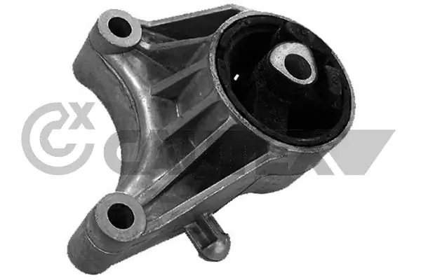 755964 Cautex