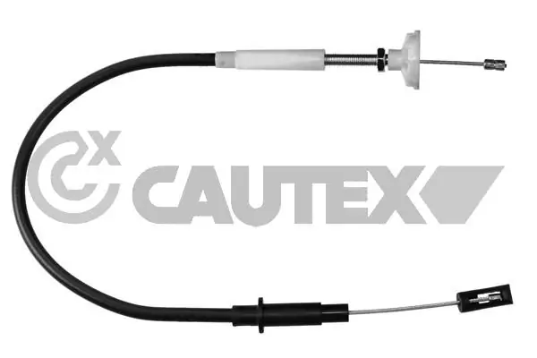 461236 Cautex