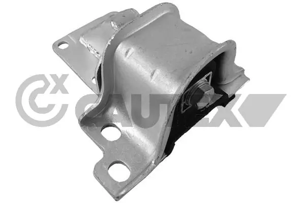 031690 Cautex