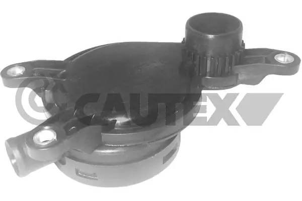 757671 Cautex
