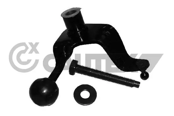 031648 Cautex