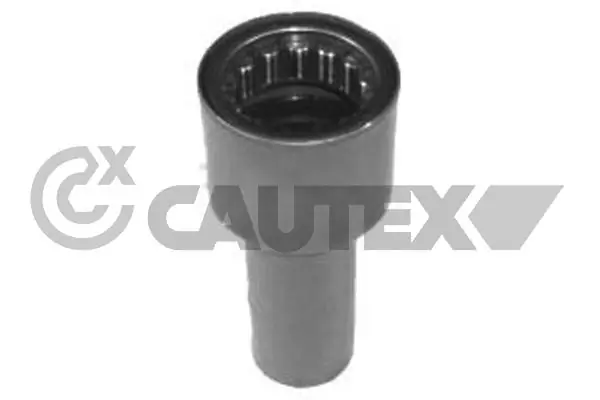 021361 Cautex