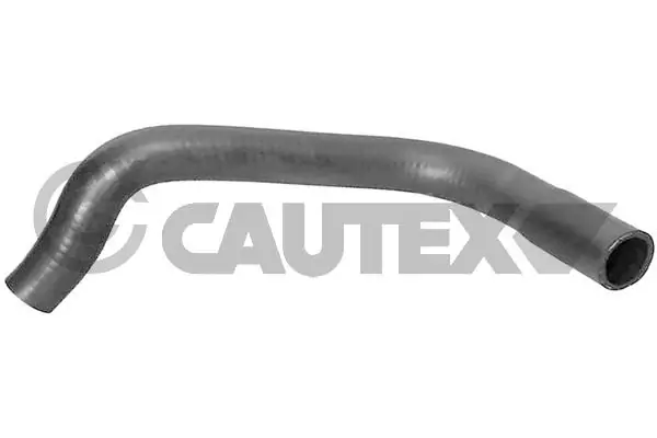 767113 Cautex