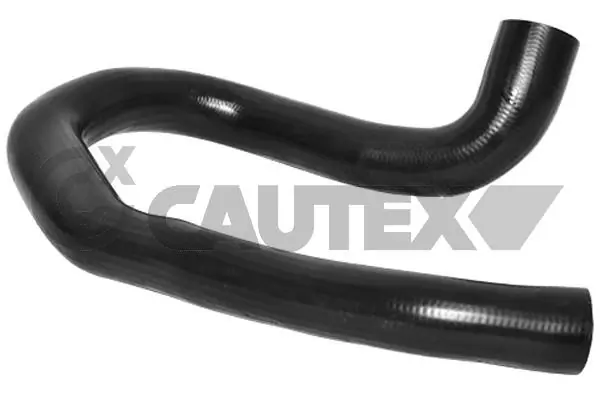 754538 Cautex