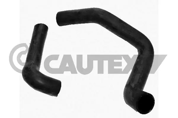 066184 Cautex