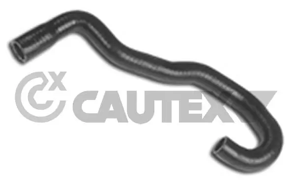 481128 Cautex