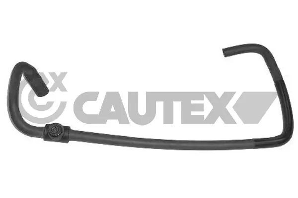 036356 Cautex