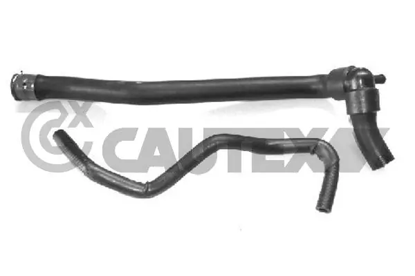 751890 Cautex