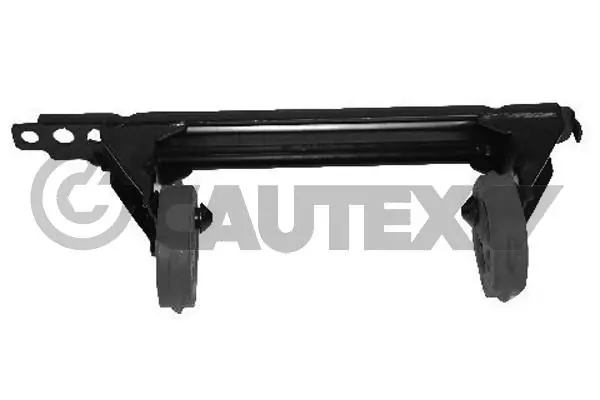 461087 Cautex