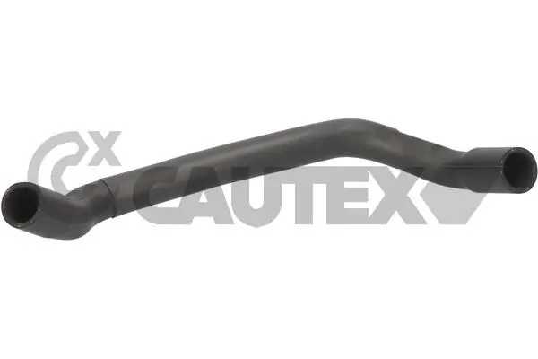 036153 Cautex