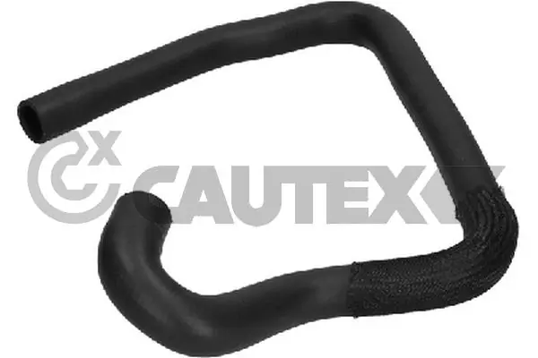 036214 Cautex