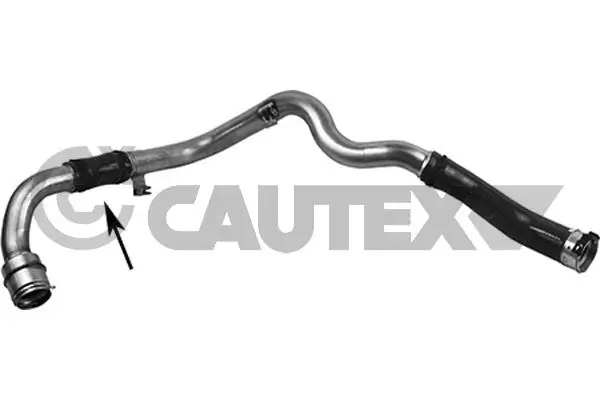 754435 Cautex