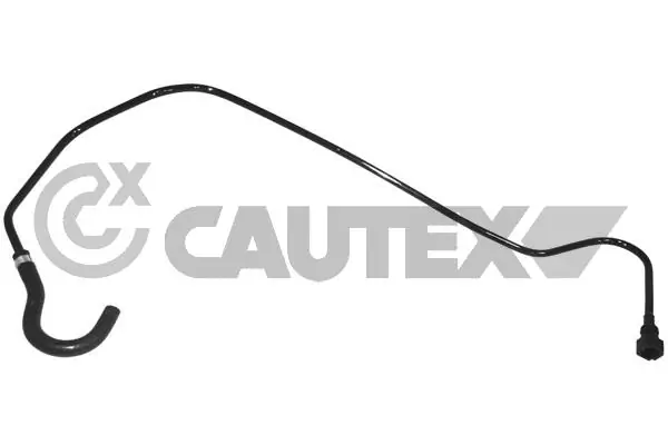 753668 Cautex