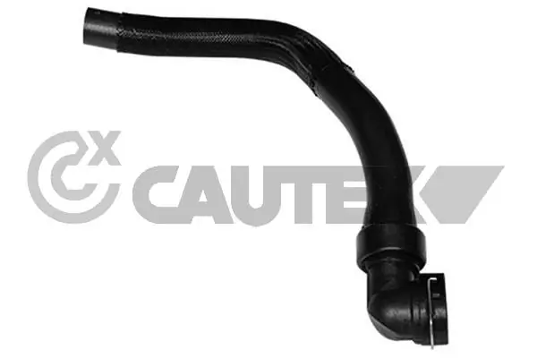 011319 Cautex