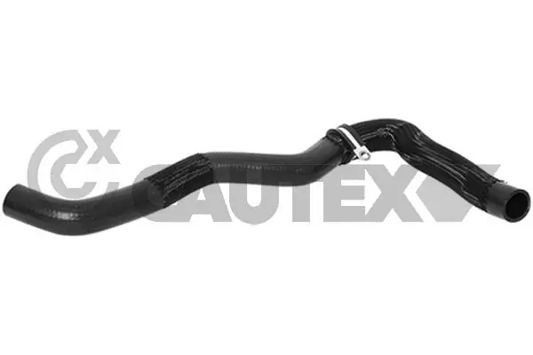 753429 Cautex