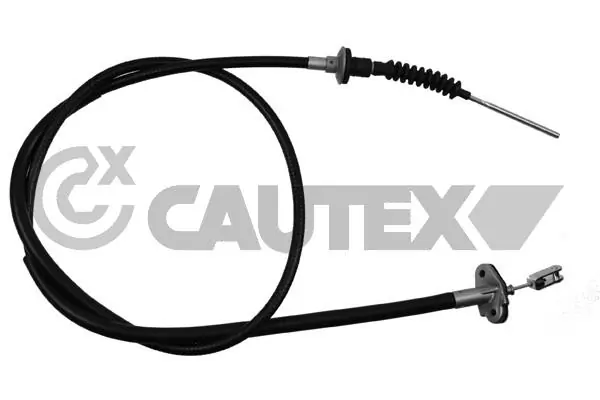 168301 Cautex
