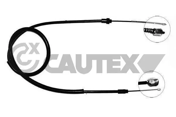 038243 Cautex