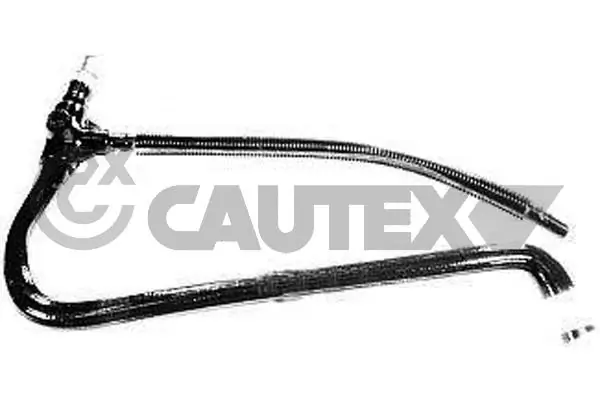 036003 Cautex