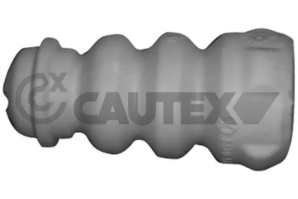 462450 Cautex