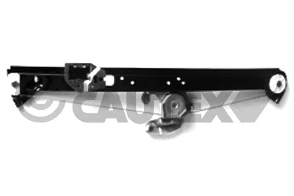 207075 Cautex
