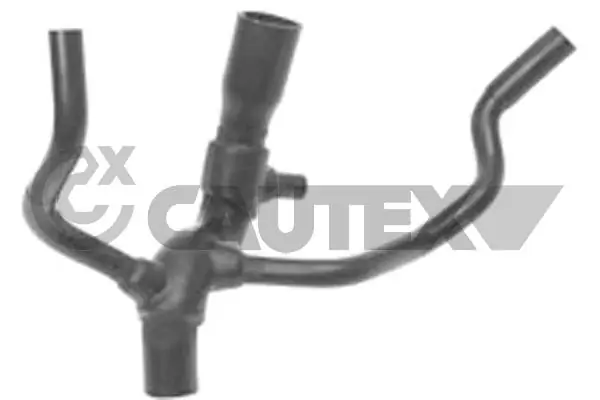 086173 Cautex