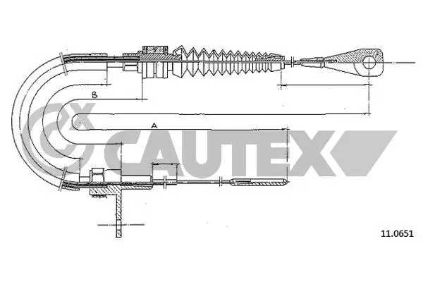 465720 Cautex