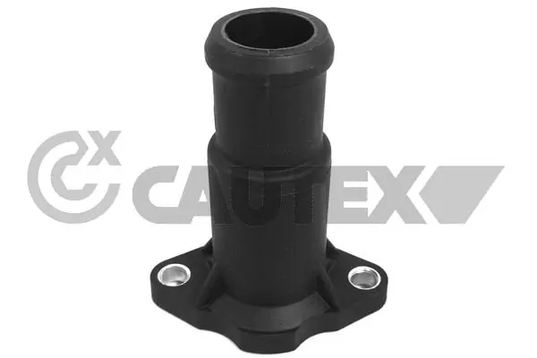 952123 Cautex