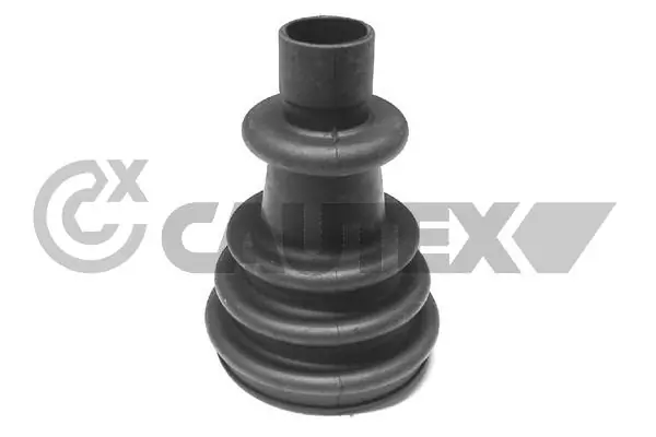 180011 Cautex