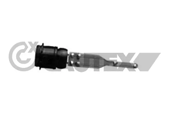 954064 Cautex