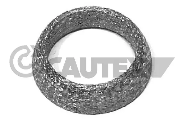 954196 Cautex