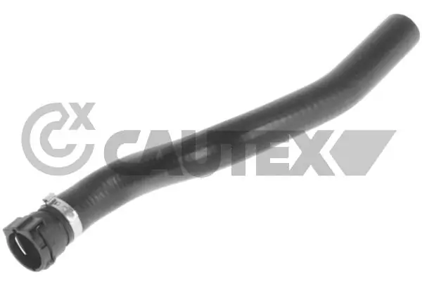 086733 Cautex