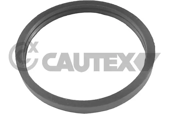 955241 Cautex