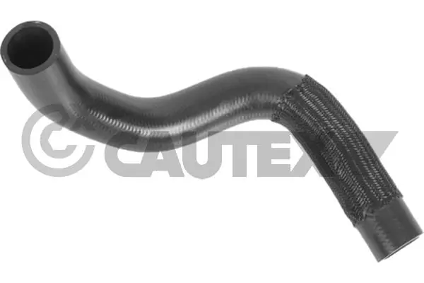 770338 Cautex